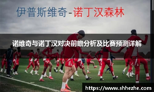诺维奇与诺丁汉对决前瞻分析及比赛预测详解